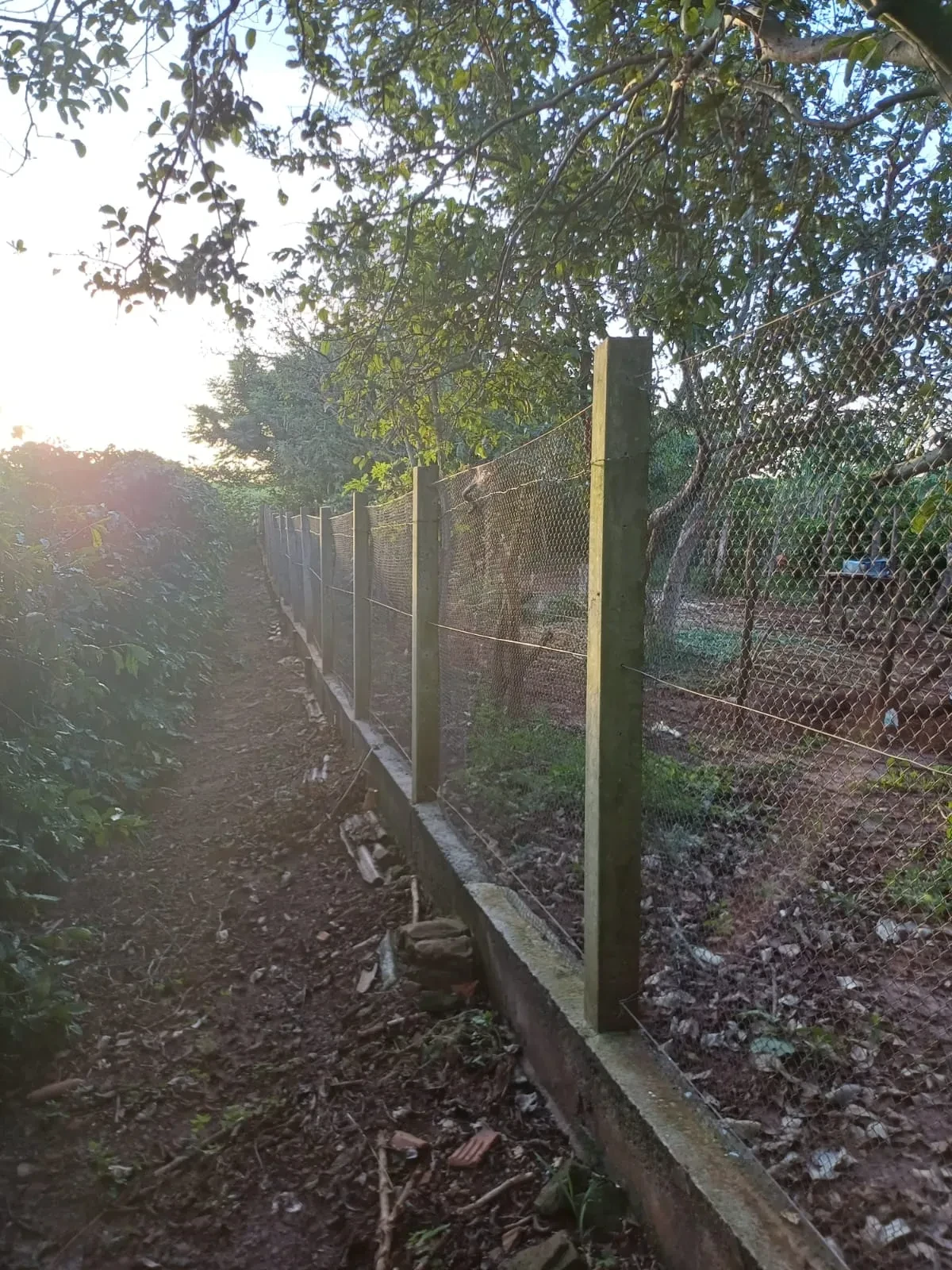 Imagem Chácara com 6 Quartos à Venda, 400 m² em Pitangueiras - Pitangueiras