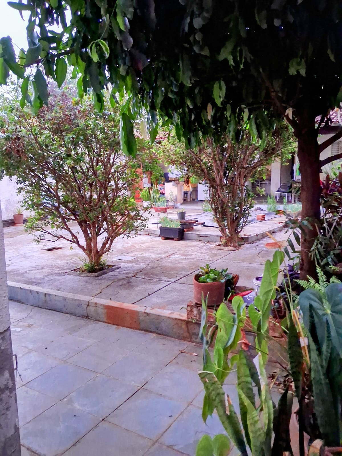 Imagem Casa com 3 Quartos à Venda, 240 m²em Custódio Pereira - Uberlândia
