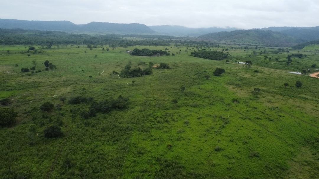Foto do imóvel: Fazenda à Venda, 90 m²em Centro - São Félix do Xingu