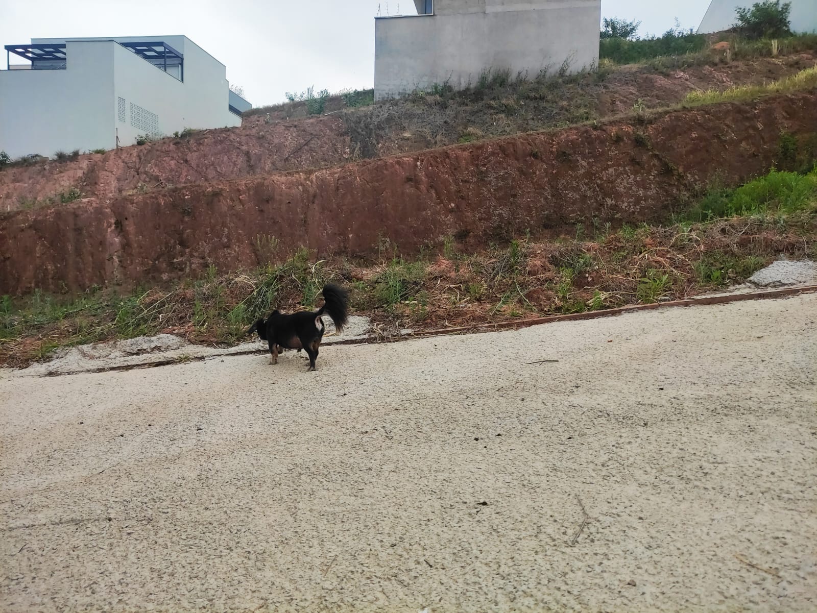 Terreno à Venda, 250 m²em Loteamento Jardim Ipanema - Jundiaí