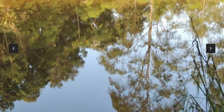 Imagem Chácara com 8 Quartos à Venda, 800 m² em Centro - Santa Isabel