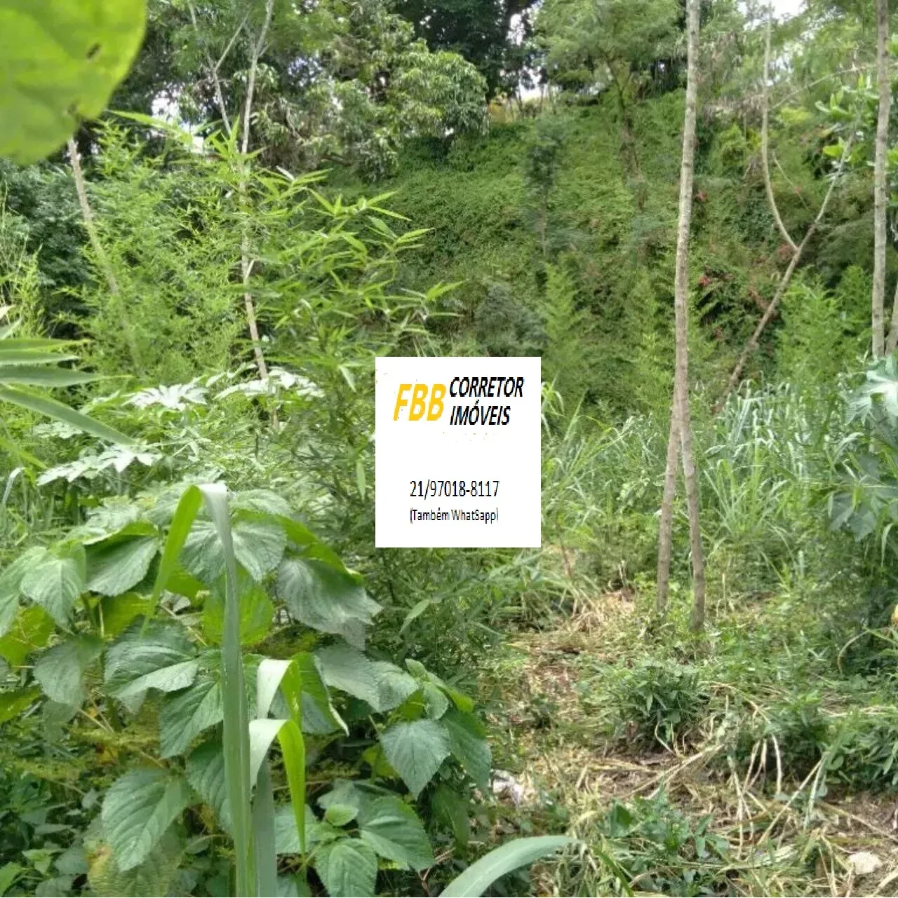 Imagem Terreno à Venda, 2160 metro em Badu - Niterói