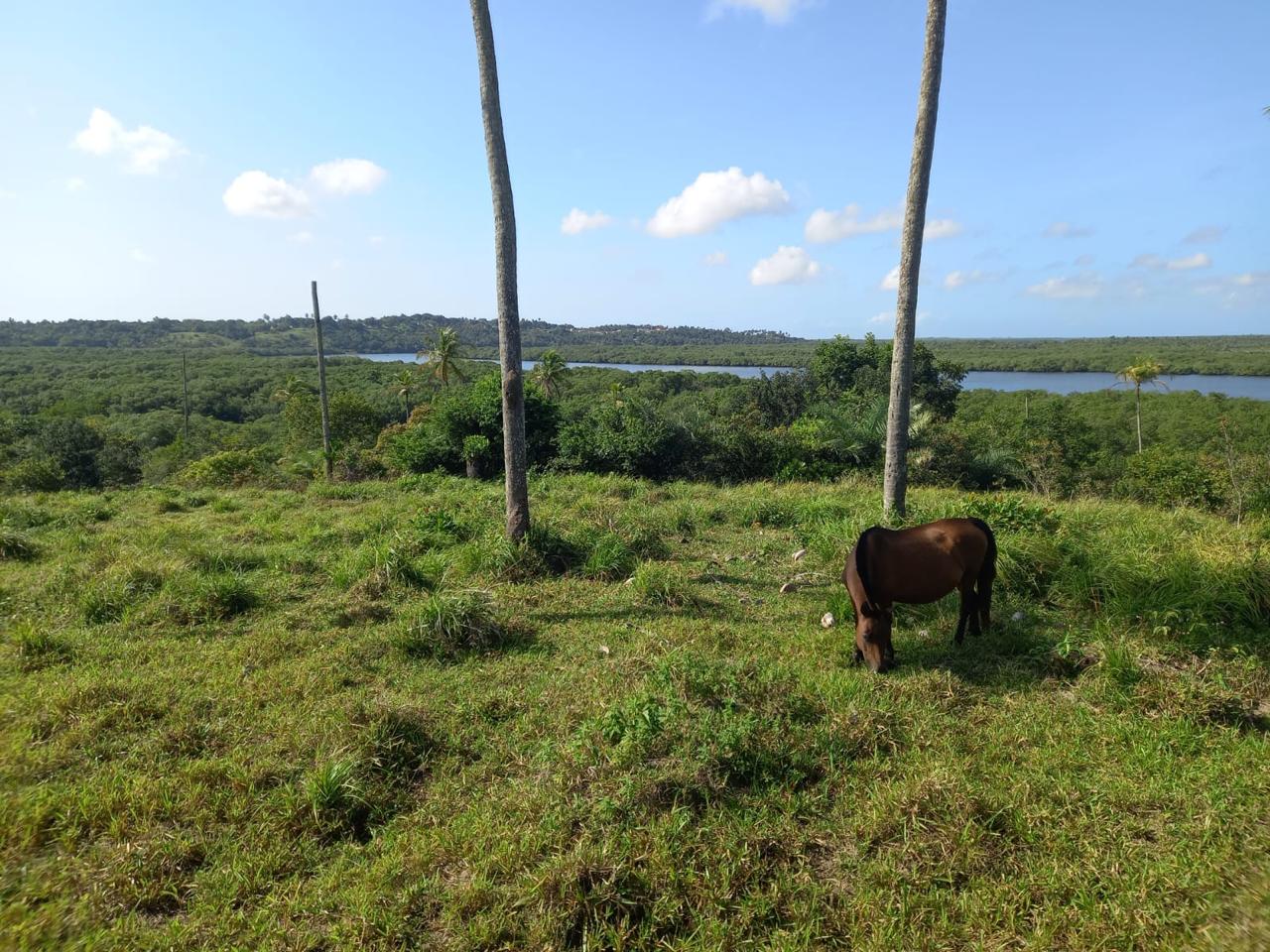 Foto do imóvel: Chácara com 3 Quartos à Venda, 90 m² em Centro - São Cristóvão