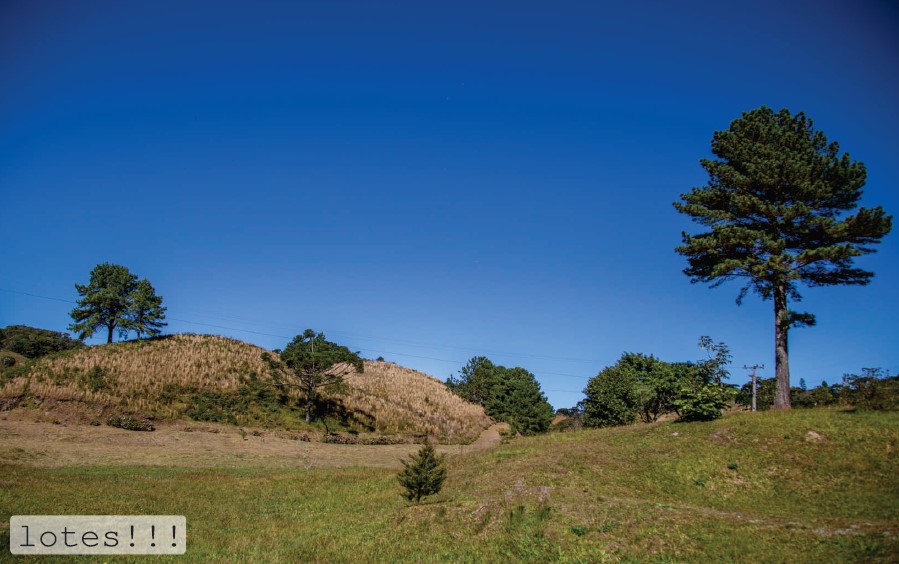 Imagem Terreno à Venda, 1.004 m² em Rancho Queimado - Rancho Queimado