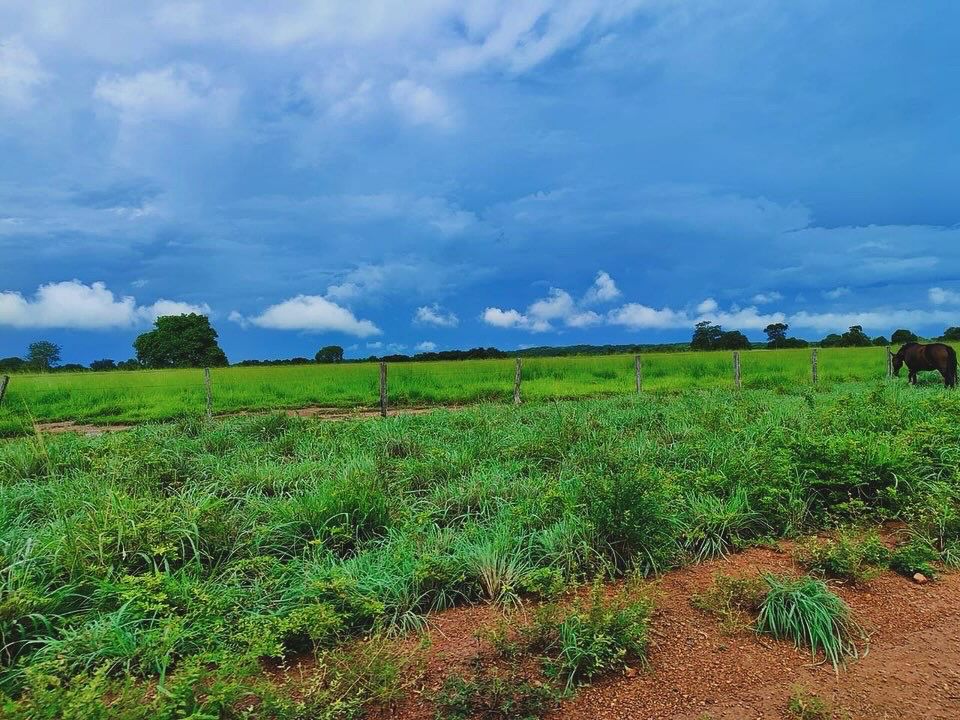 Imagem Fazenda à Venda, 1115 m² em ZONA RURAL - Mundo Novo