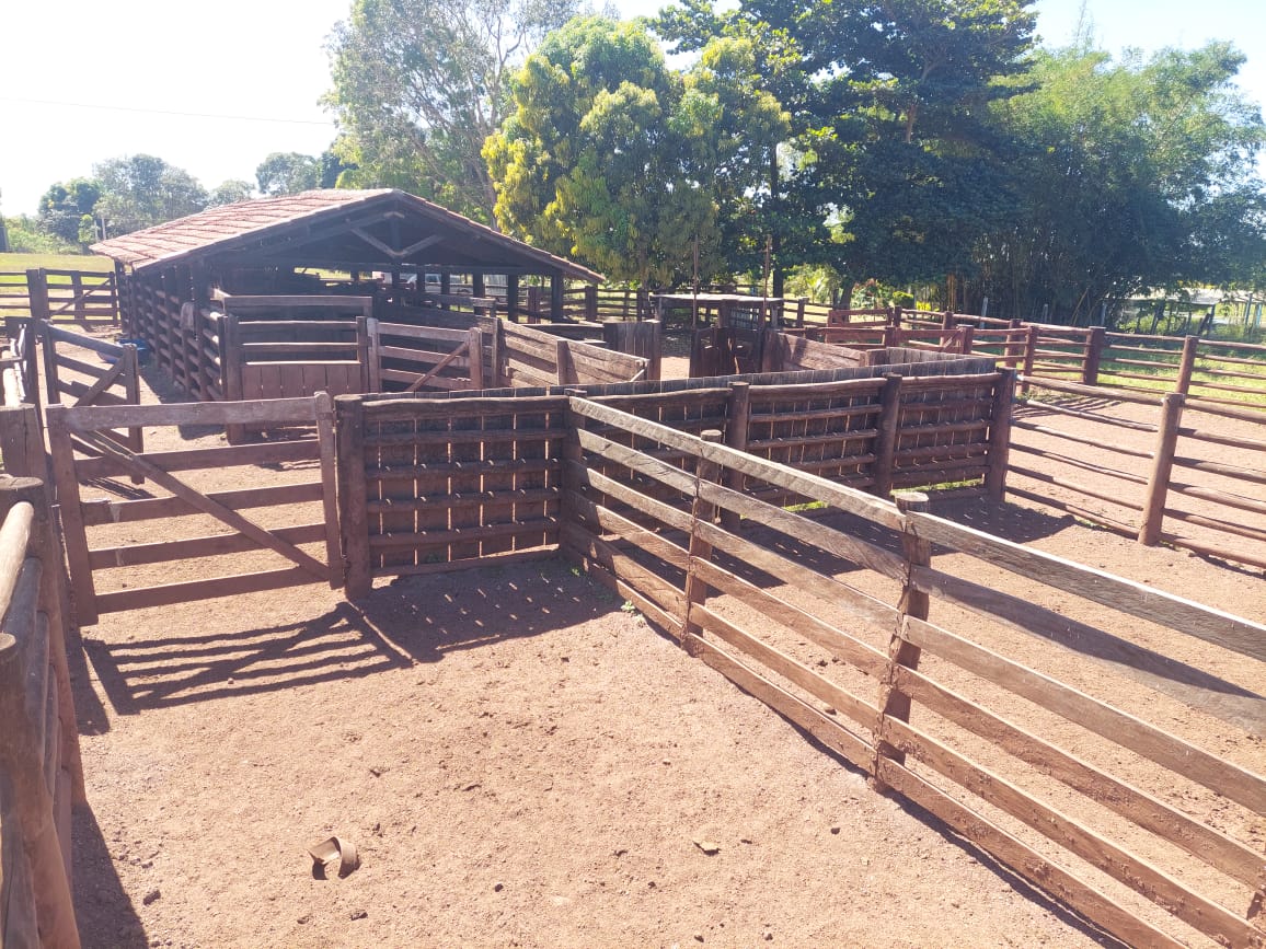 Imagem Fazenda à Venda, 968 m² em Estiva - Itajubá