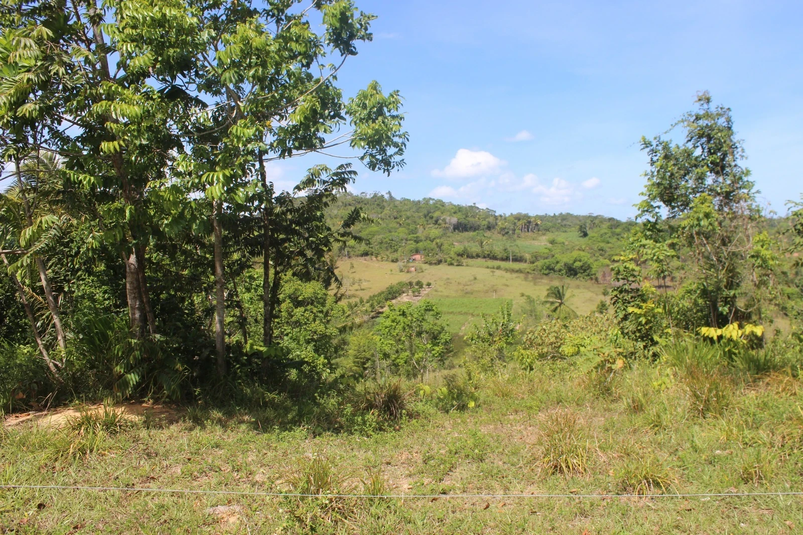Foto do imóvel: Chácara com 2 Quartos à Venda, 20100 m² em Mata de São João - Mata de São João