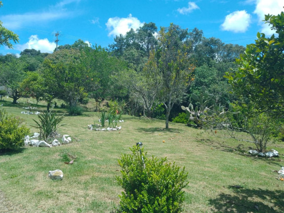 Chácara com 4 Quartos à Venda, 4.850 m² em LEAO - Agudos do Sul