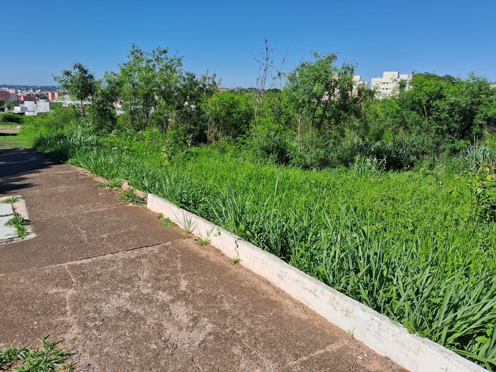Imagem Terreno à Venda, 4.008 m² em Parque São Geraldo - Bauru