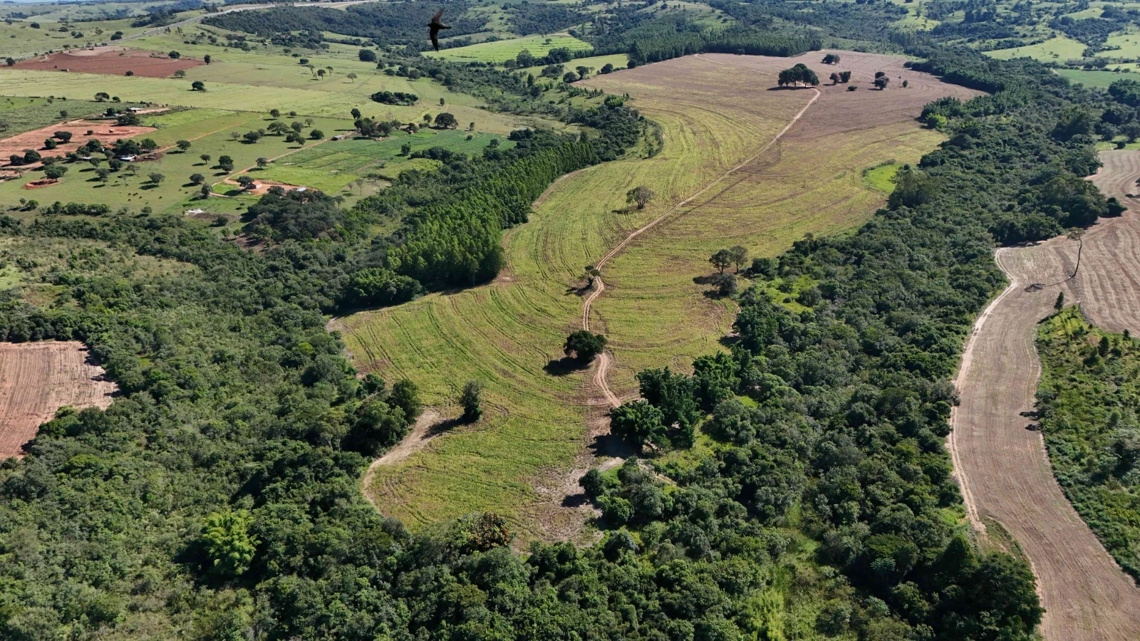 Imagem Fazenda à Venda, 138 HA em Área Rural de Echaporã - Echaporã