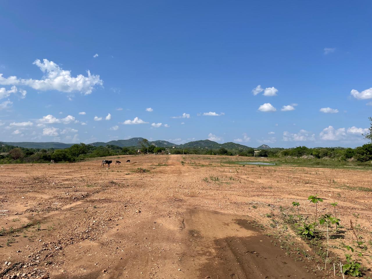 Foto do imóvel: Terreno à Venda ou Locação, 1.000 m² em Zona Rural - Itaporanga