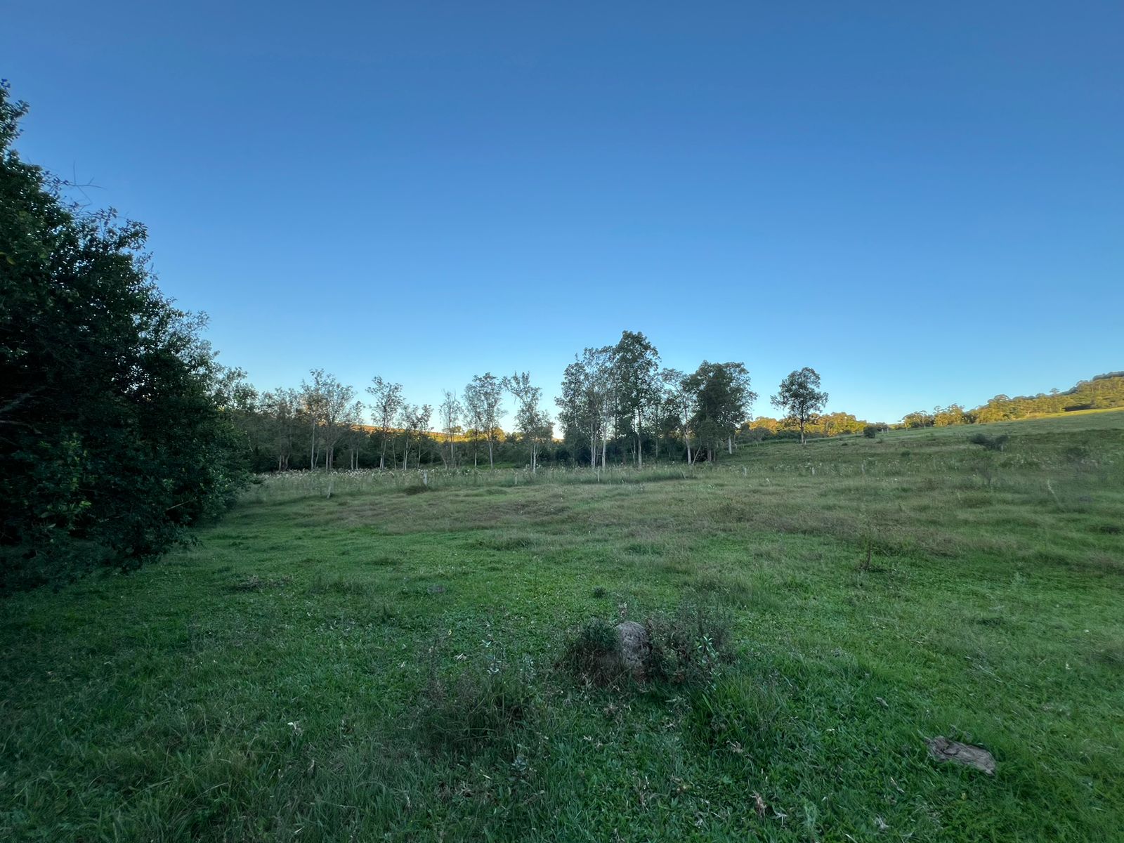 Imagem Chácara à Venda, 100.000 m²em Lomba Grande - Novo Hamburgo