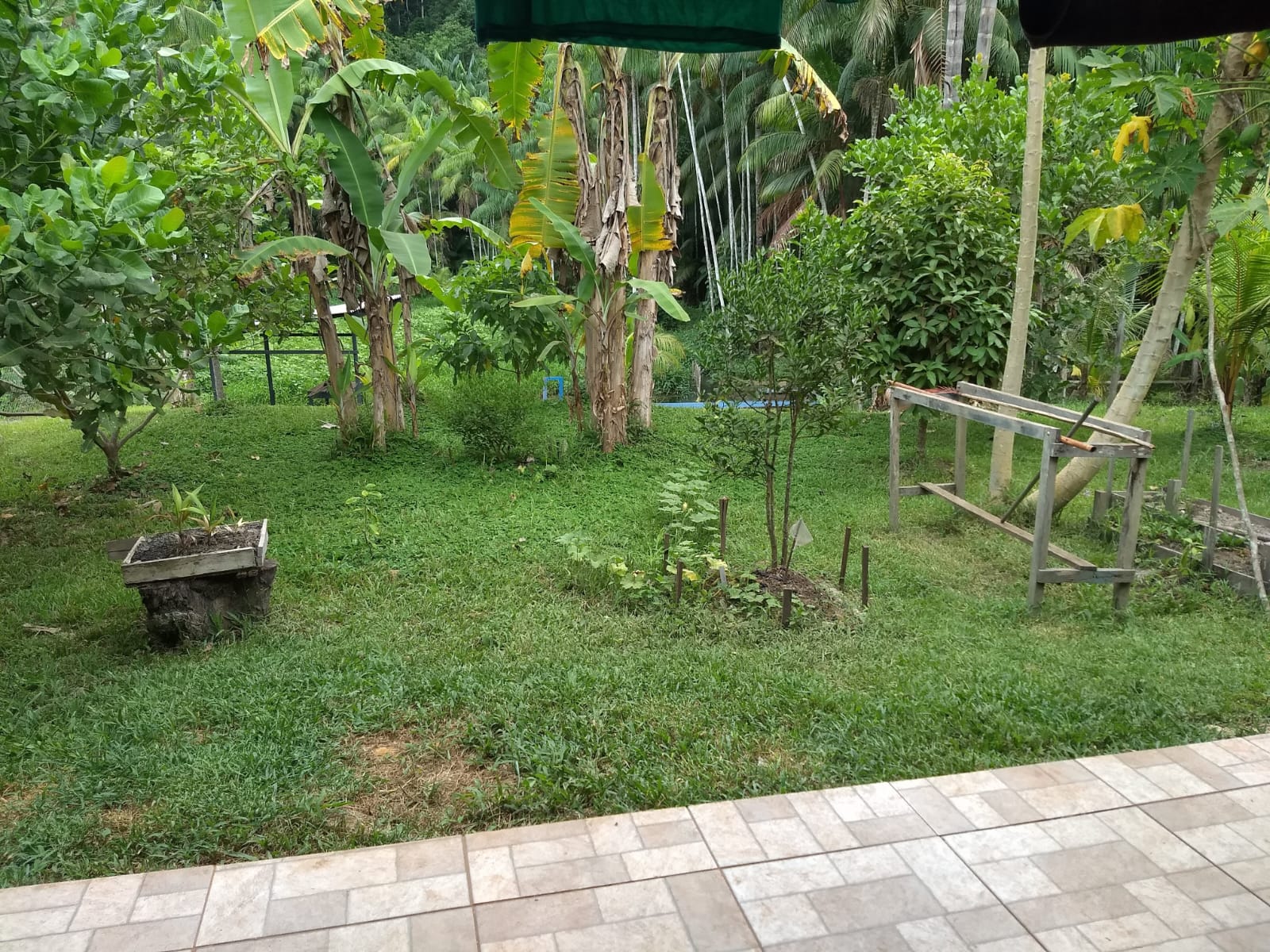 Imagem Terreno à Venda, 807 m²em Alter do Chão - Santarém