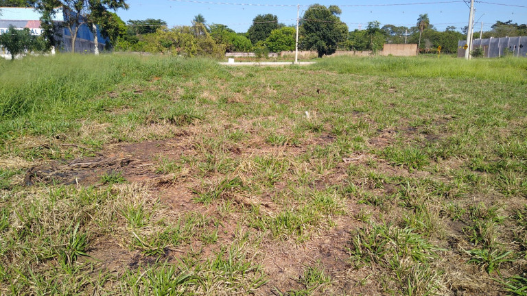 Imagem Terreno à Venda, 5.000 m² em Chácaras TV - Araçatuba