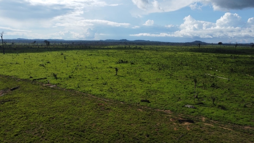 Foto do imóvel: Fazenda à Venda, 430 m² em Centro  - São Félix do Xingu