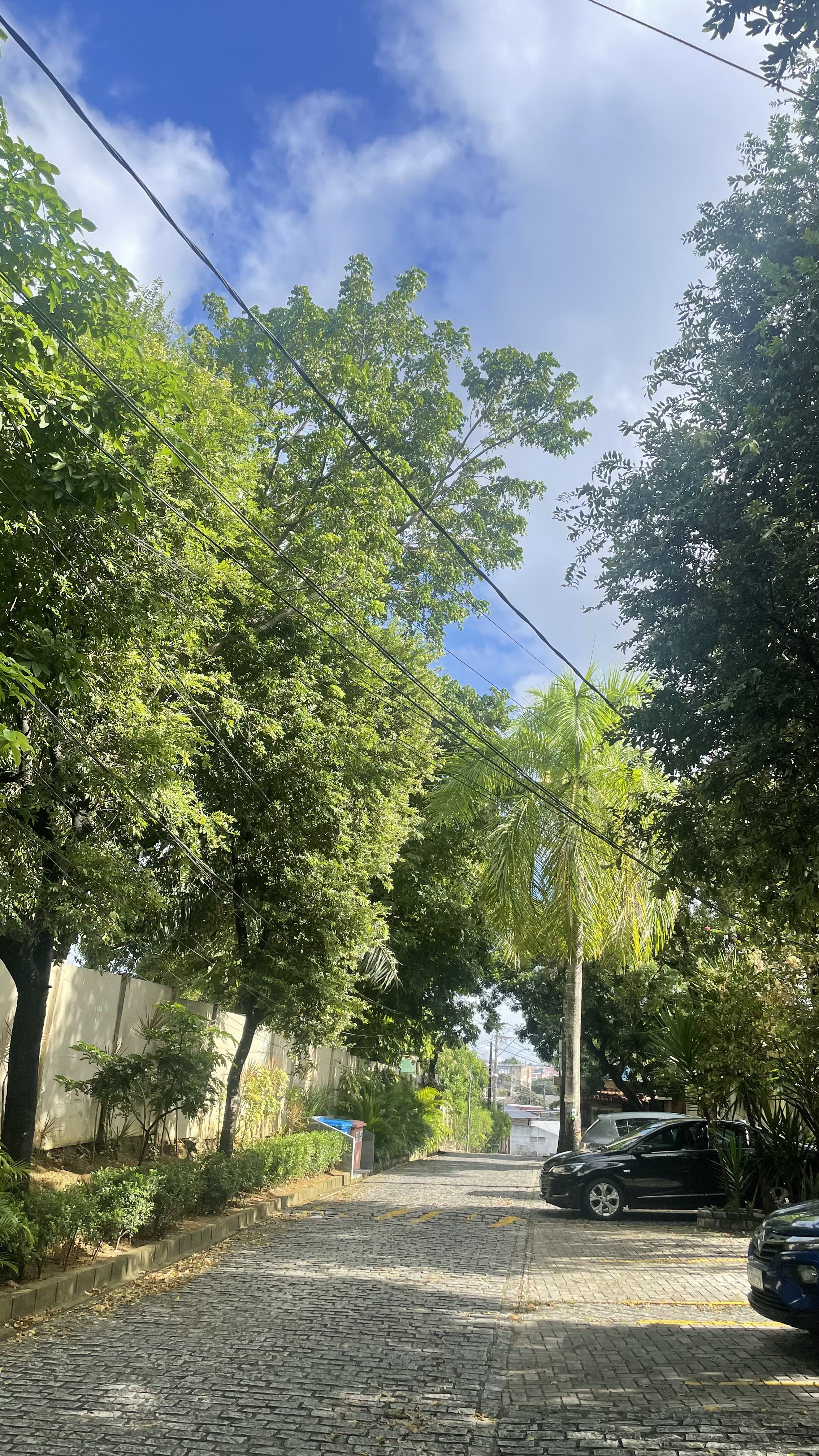 Imagem Casa de Condomínio com 2 Quartos para Alugar, 70 m²em São Cristóvão - Salvador