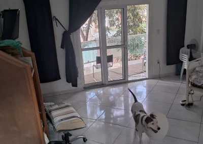 Imagem Sobrado com 3 Quartos para Alugar, 105 m² em Parque Savoy City - São Paulo