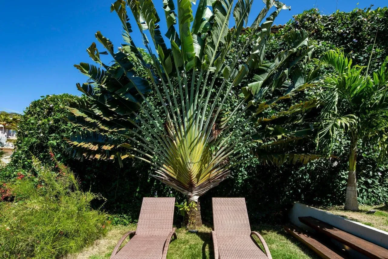 Imagem Casa de Condomínio com 4 Quartos à Venda, 400 m² em Geribá - Armação dos Búzios