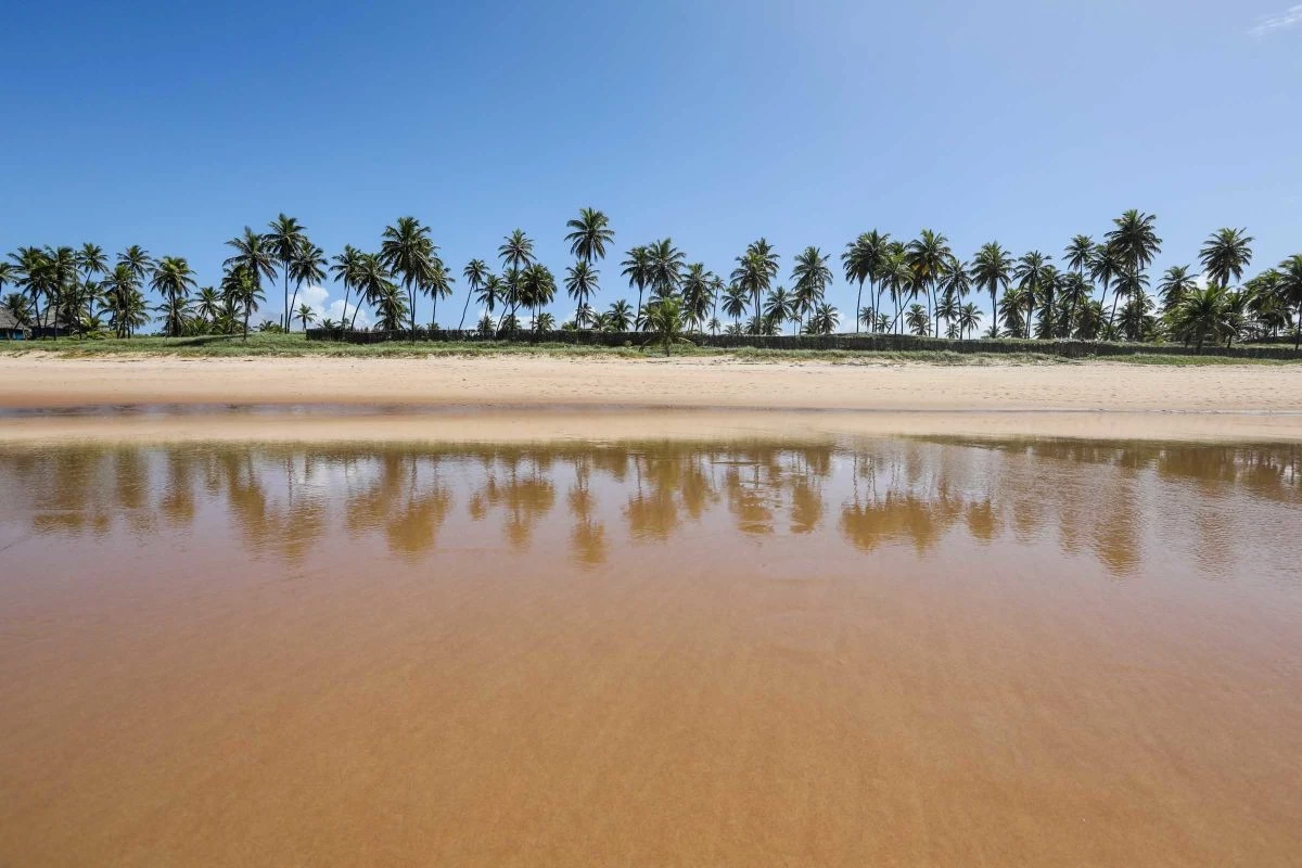 Foto do imóvel: Apartamento com 3 Quartos à Venda, 102 m² em Mata de São João - Mata de São João