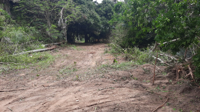 Imagem Terreno à Venda, 300 m²em Barra do Jacuípe - Camaçari