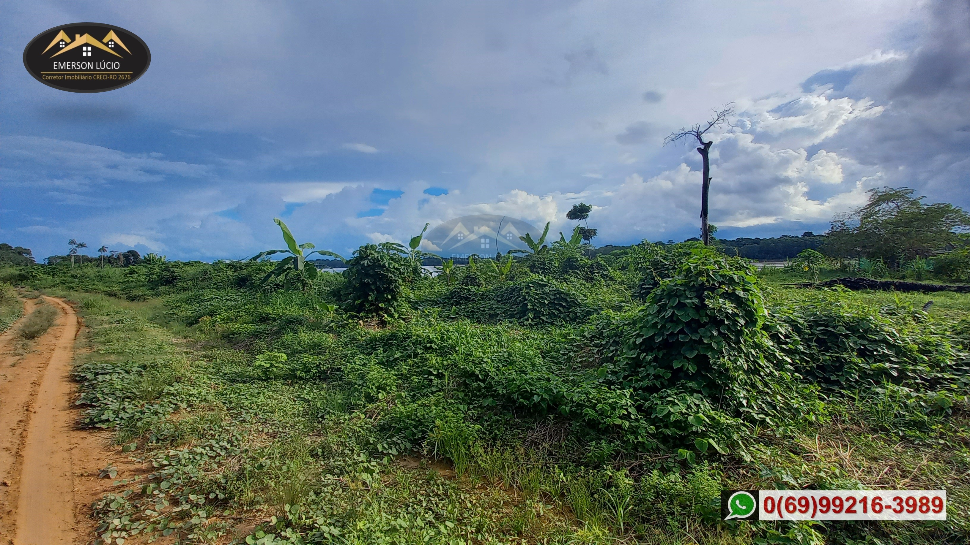Imagem Fazenda à Venda, 50 HAem Rio Madeira - Porto Velho