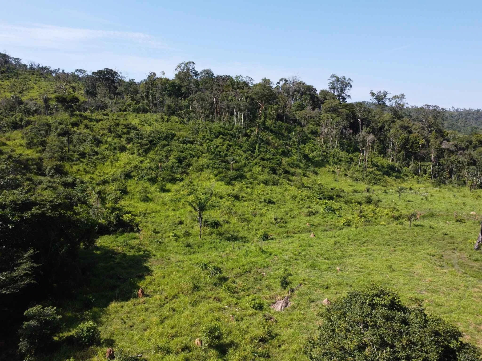 Foto do imóvel: Fazenda à Venda, 90 Alq. GO em São Félix do Xingu - São Félix do Xingu