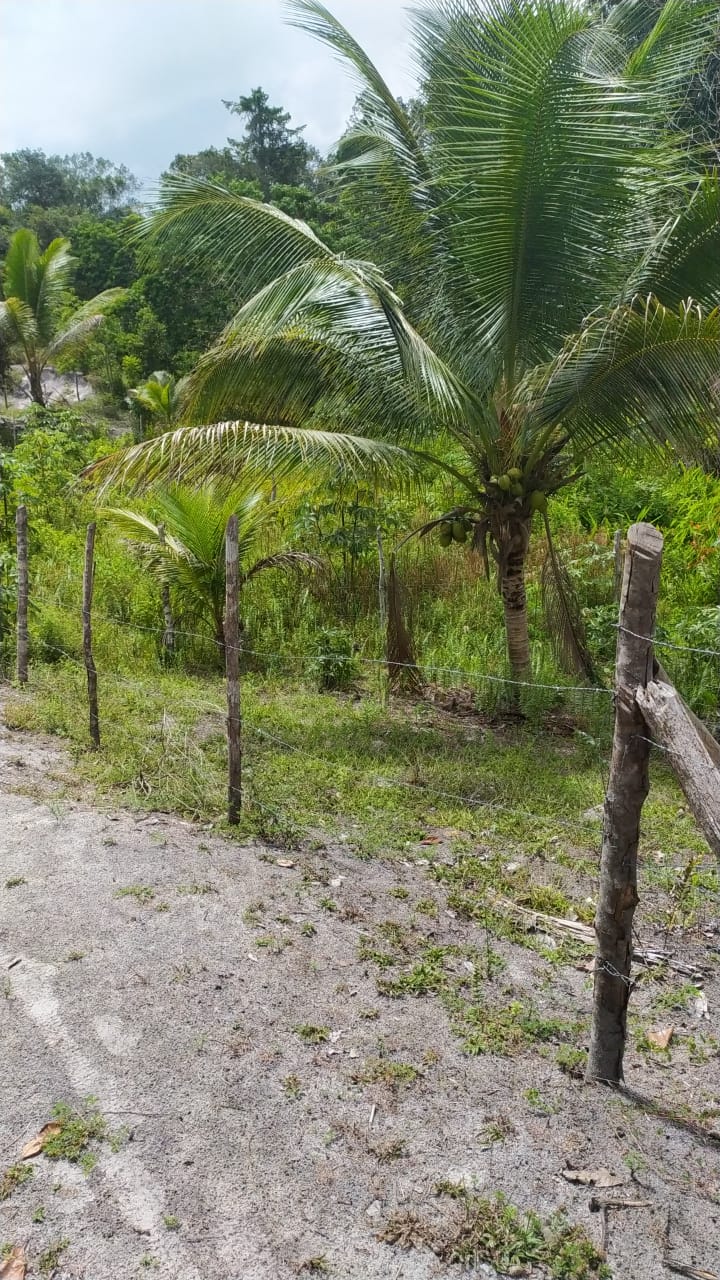 Imagem Terreno à Venda, 310 m²em Velha Boipeba - Cairu