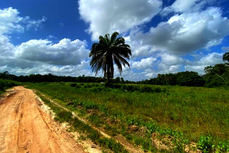 Imagem Terreno à Venda, 547.000 m² em Centro - Santa Izabel do Pará