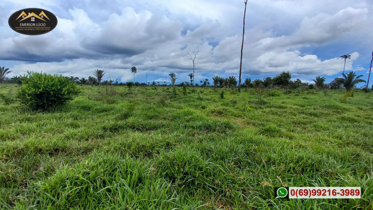Imagem Fazenda à Venda,  em Zona Rural - Candeias do Jamari