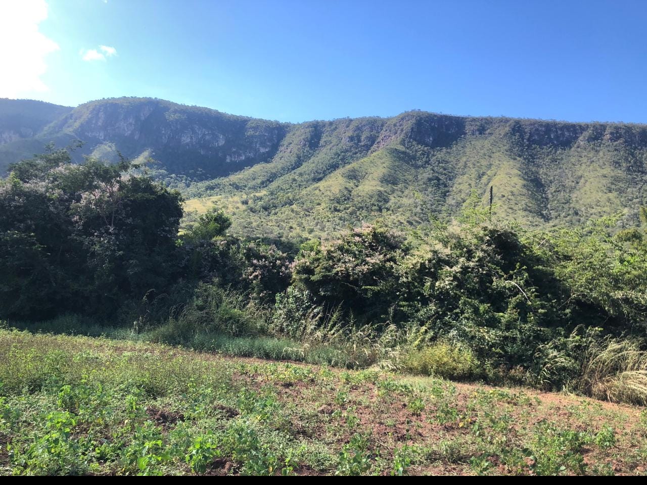 Imagem Chácara à Venda, 60 m²em Centro - Alto Paraíso de Goiás