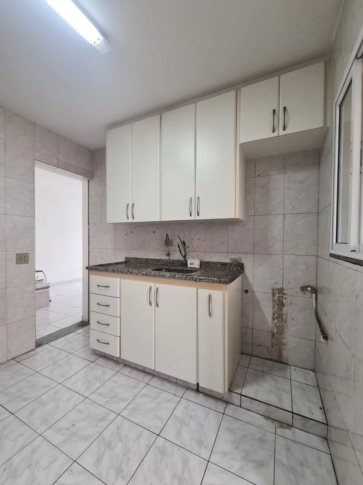 Imagem Apartamento com 2 Quartos à Venda, 52 m² em Parque Imperial - São Paulo