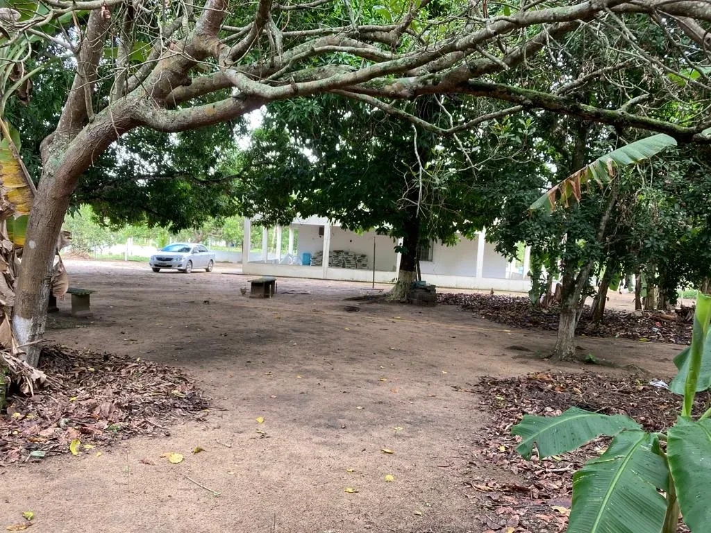 Imóvel com 3 Quartos à Venda, 17424 metros em Cachoeira - Cachoeira