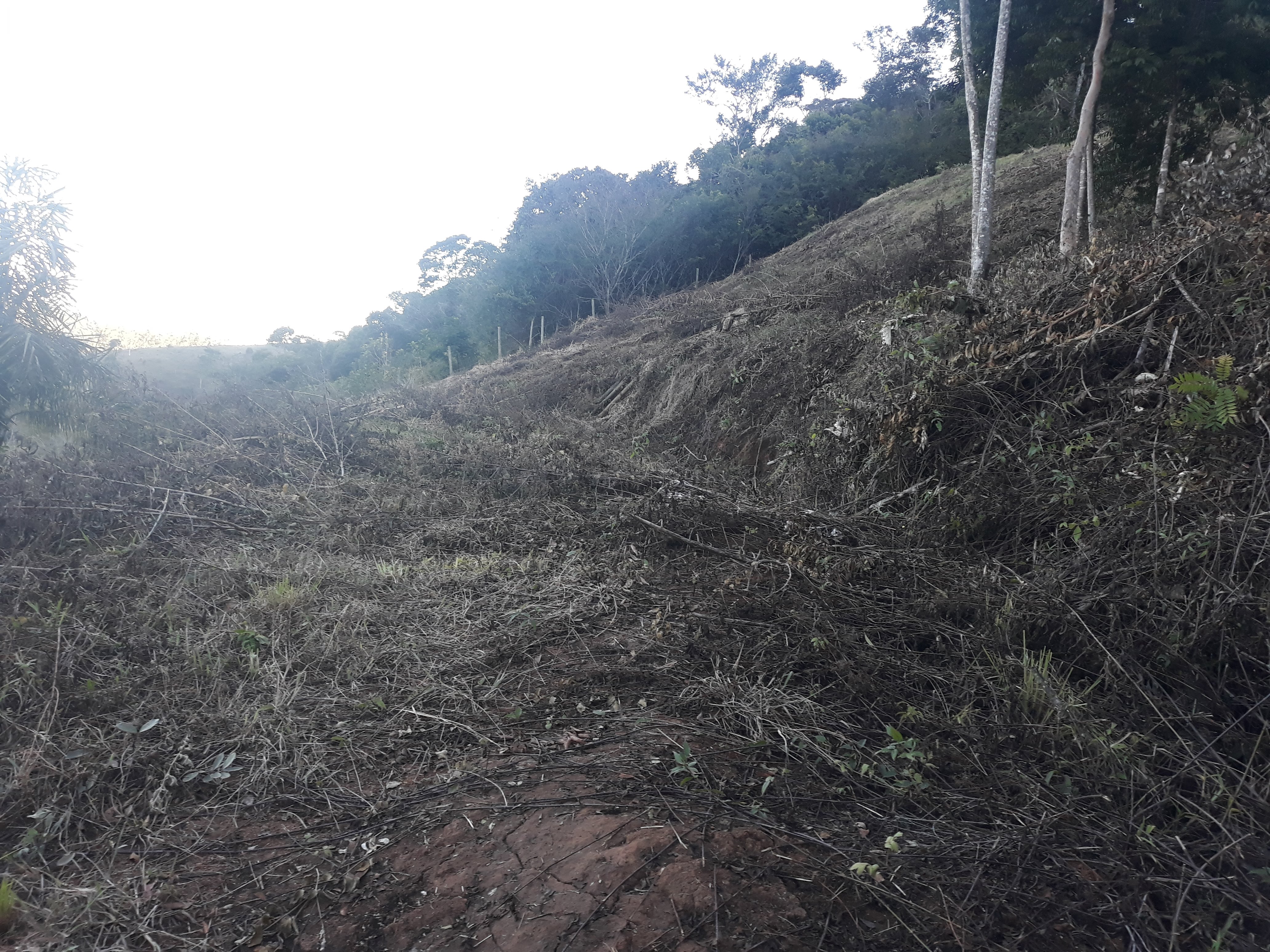 Imagem Terreno à Venda, em Torreões - Juiz de Fora