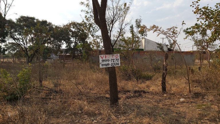 Imagem Terreno à Venda, 200 metros em Parque Novo Século - Campo Grande