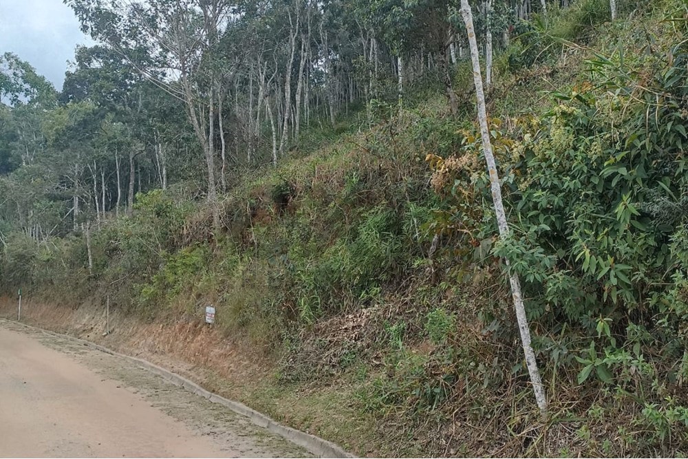 Foto do imóvel: Terreno à Venda, 2.173 m² em Itaipava - Petrópolis
