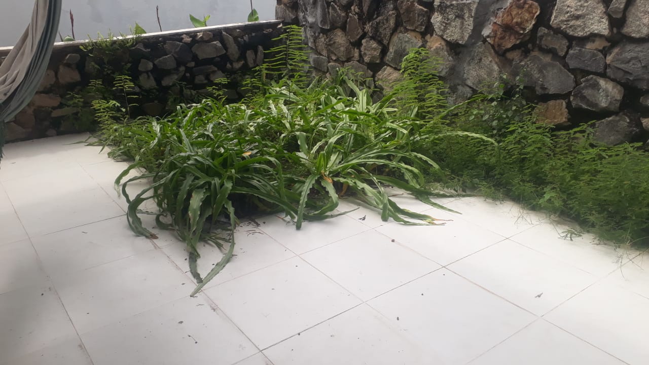 Imagem Casa com 4 Quartos à Venda, 600 m²em Centro - Lauro de Freitas