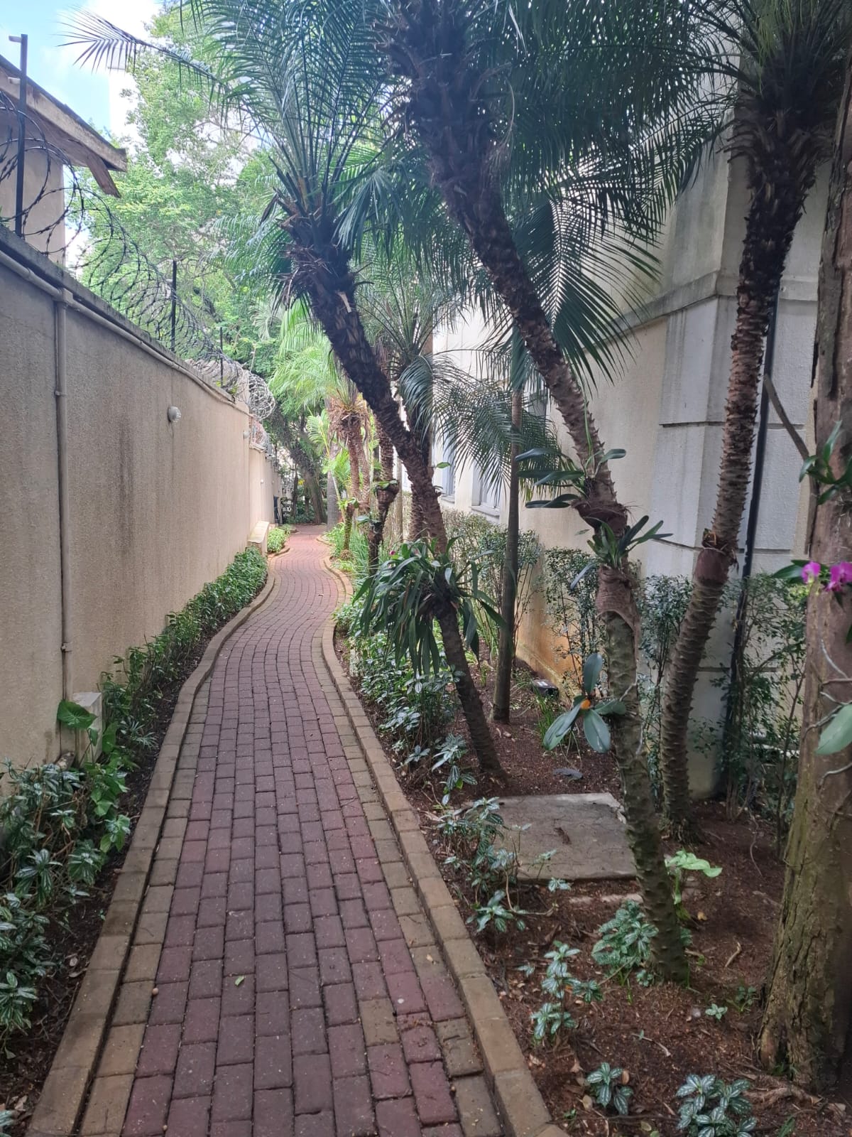 Imagem Apartamento com 2 Quartos à Venda, 47 m² em Jardim Leonor - São Paulo