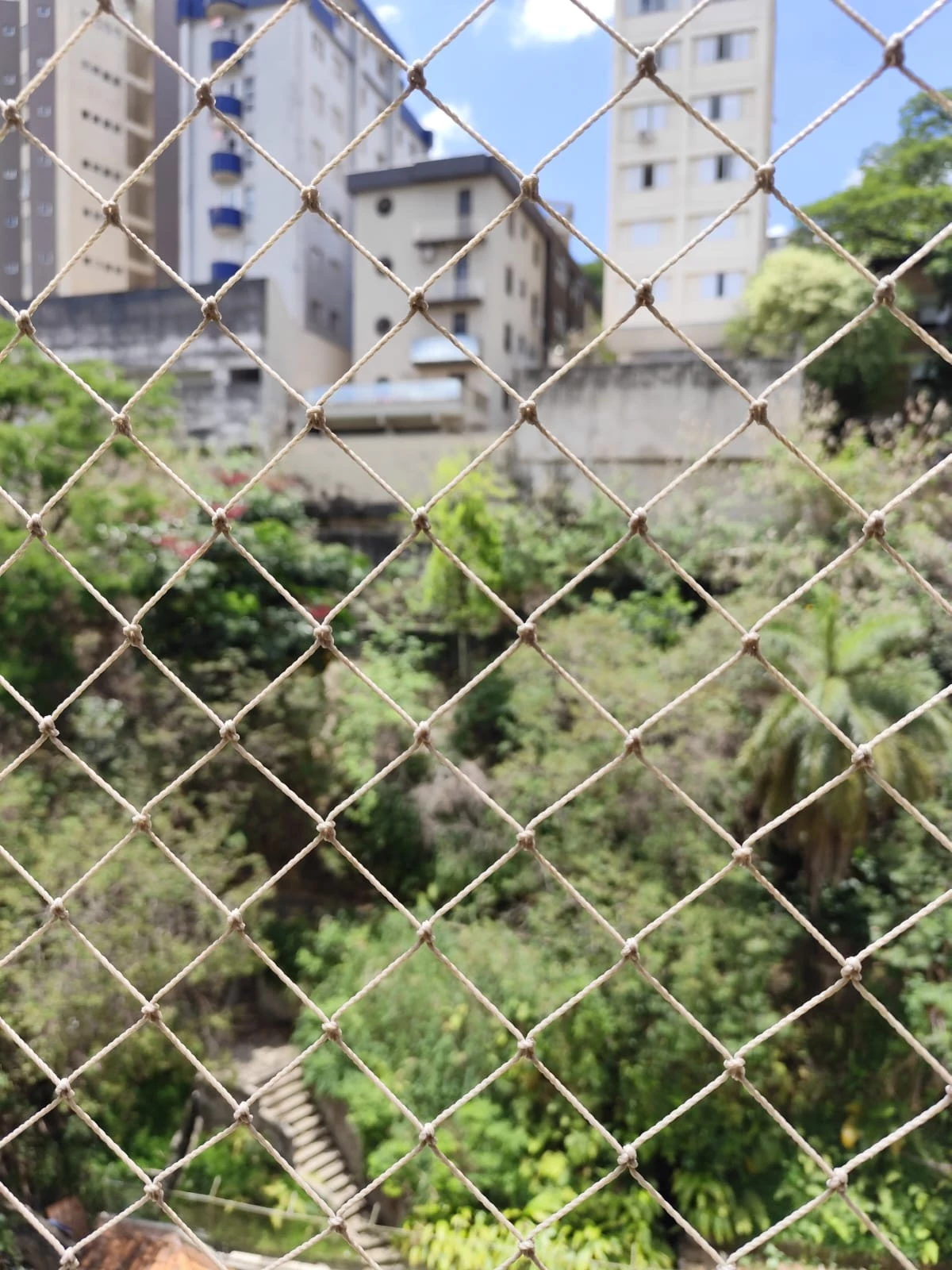 Imagem Apartamento com 3 Quartos à Venda, 111 m² em Santo Antônio - Belo Horizonte
