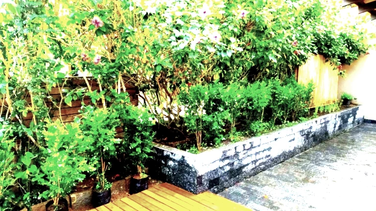 Imagem Casa de Condomínio com 3 Quartos à Venda, 280 m² em Forno - Armação dos Búzios