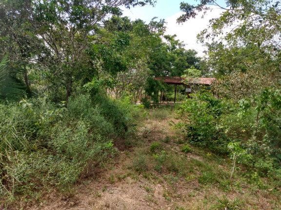 Imagem Terreno à Venda, 720 m² em São Brás - Santarém