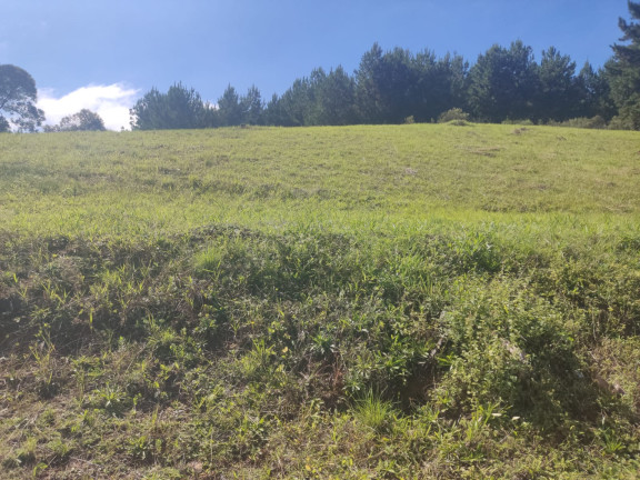 Imagem Chácara com 3 Quartos à Venda, 3.196 m² em Lagoa dos Souza - Agudos do Sul