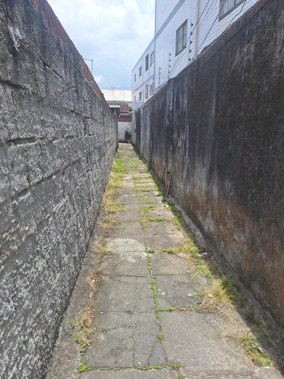 Imagem Casa com 3 Quartos à Venda, 410 m² em Zumbi - Recife