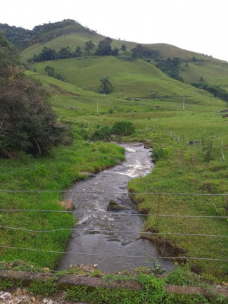 Imagem Fazenda à Venda, 8.000 m² em Centro - Trajano de Moraes
