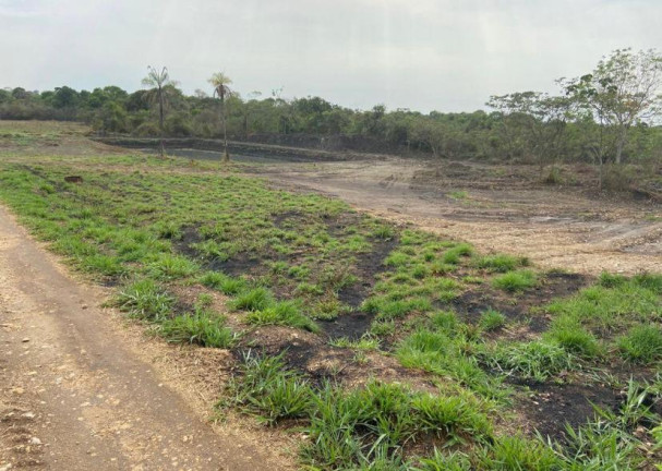 Imagem Chácara à Venda, 20.000 m² em Nova Goianira - Goianira