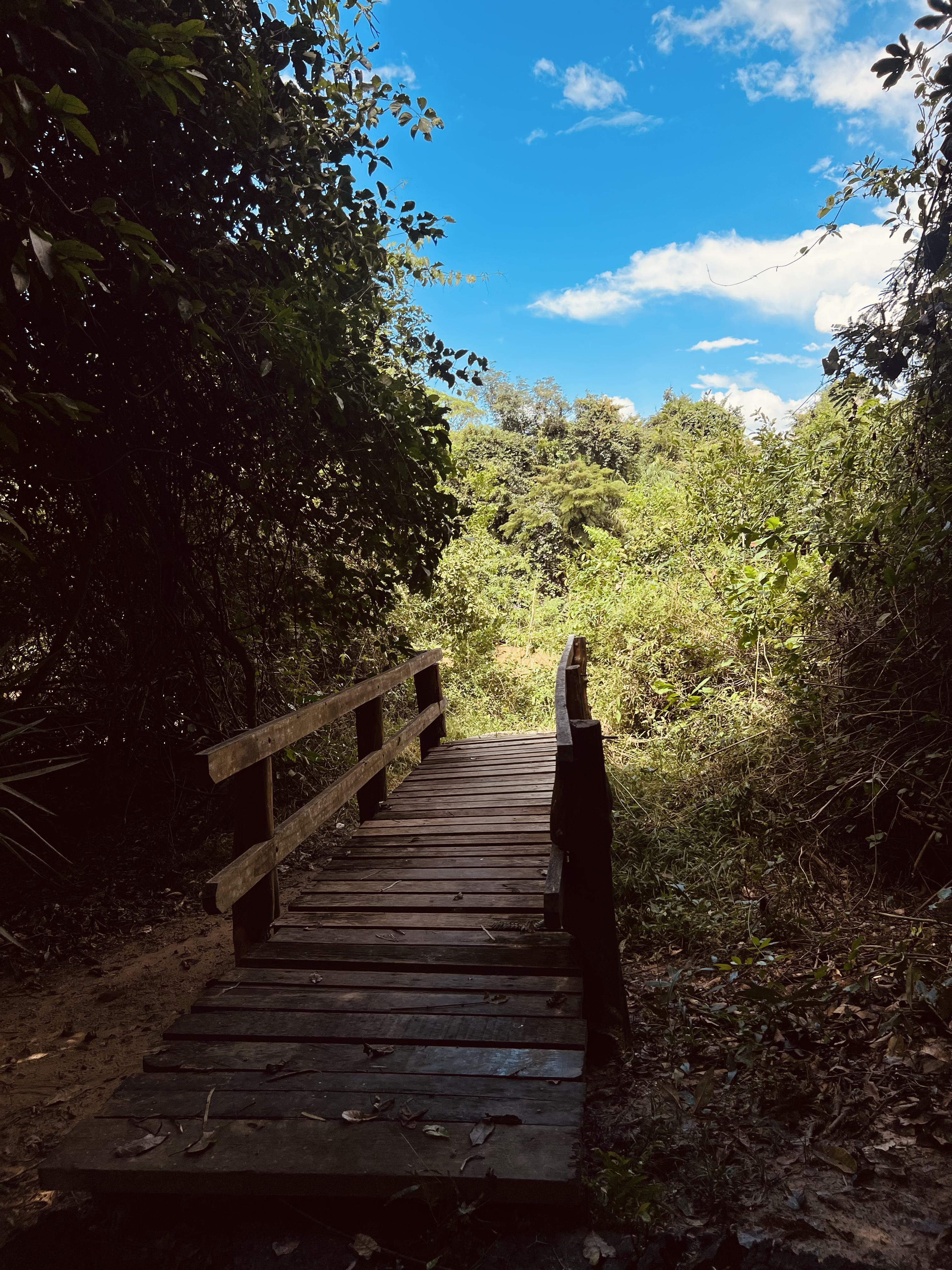 Foto do imóvel: Chácara com 7 Quartos à Venda, 5.000 m² em Setor Central - Mairipotaba