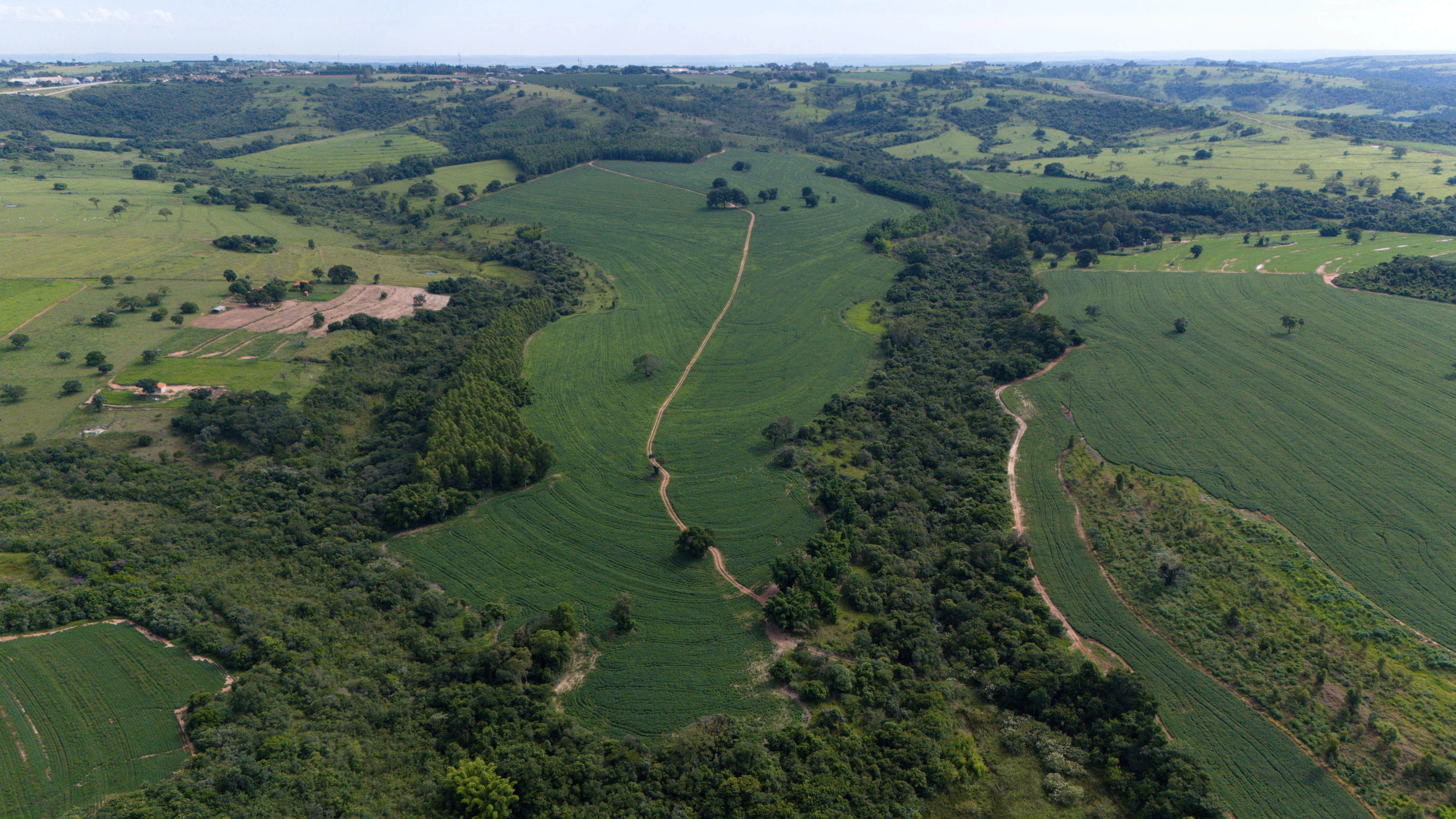 Imagem Fazenda à Venda, 138 HA em Área Rural de Echaporã - Echaporã