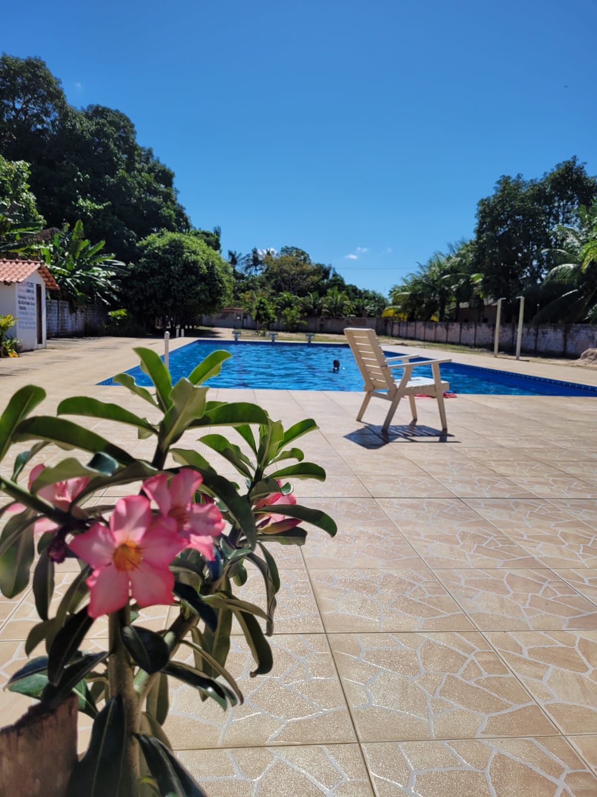 Imagem Chácara com 6 Quartos à Venda, 12 m²em Mararu - Santarém