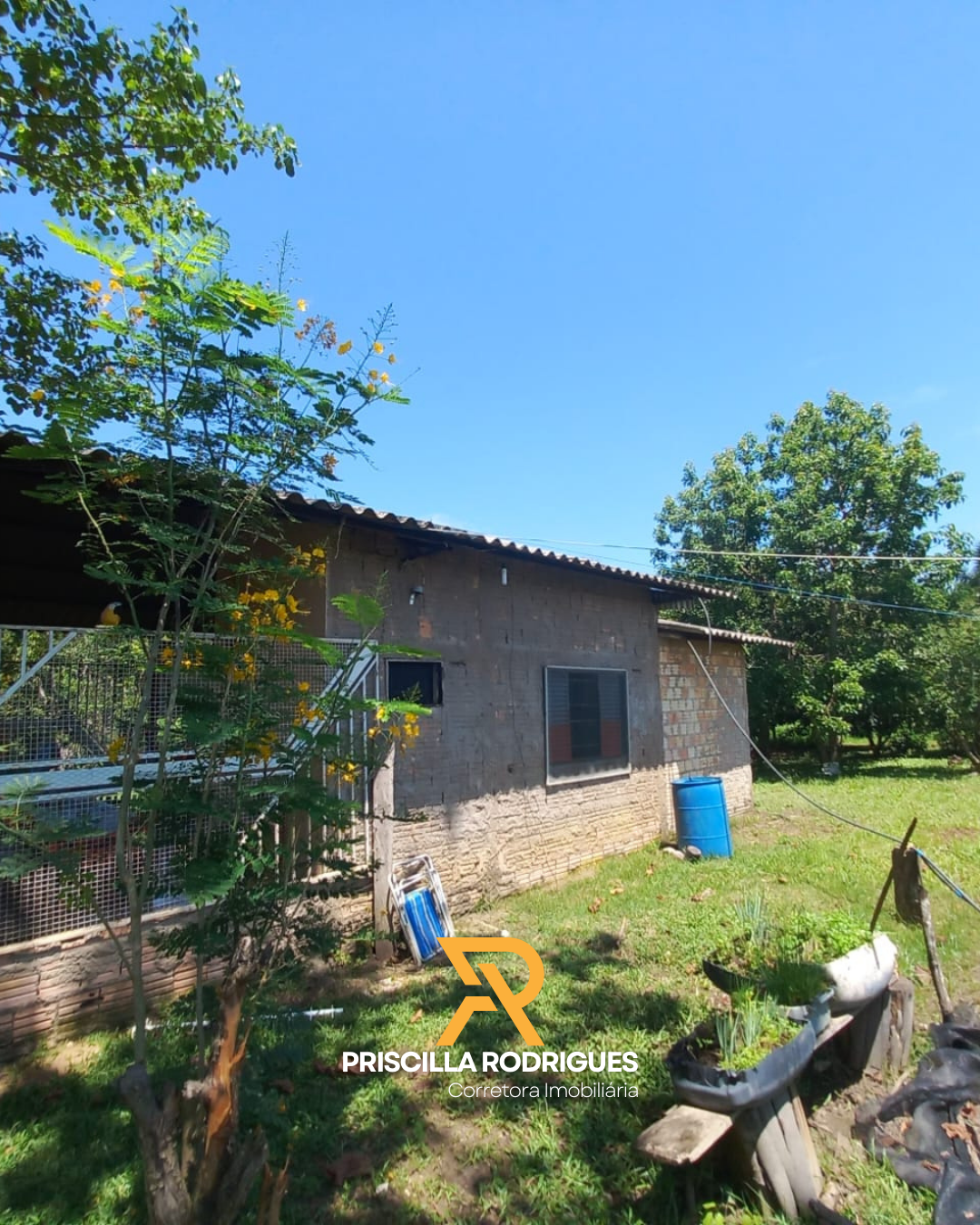 Imagem Fazenda à Venda, 10 HA em  - 