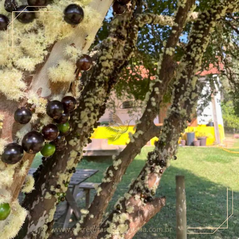Imagem Imóvel com 2 Quartos para Alugar, 60 m² em Cuesta - Botucatu