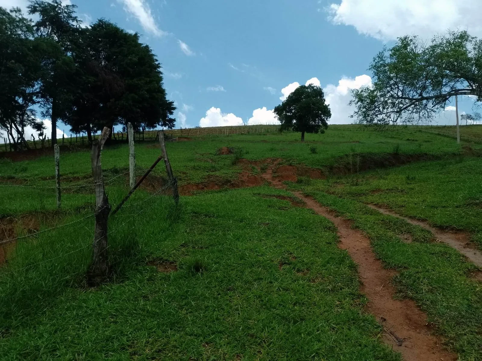 Imagem Fazenda à Venda, 5 Alq. MG em Caldas - Caldas
